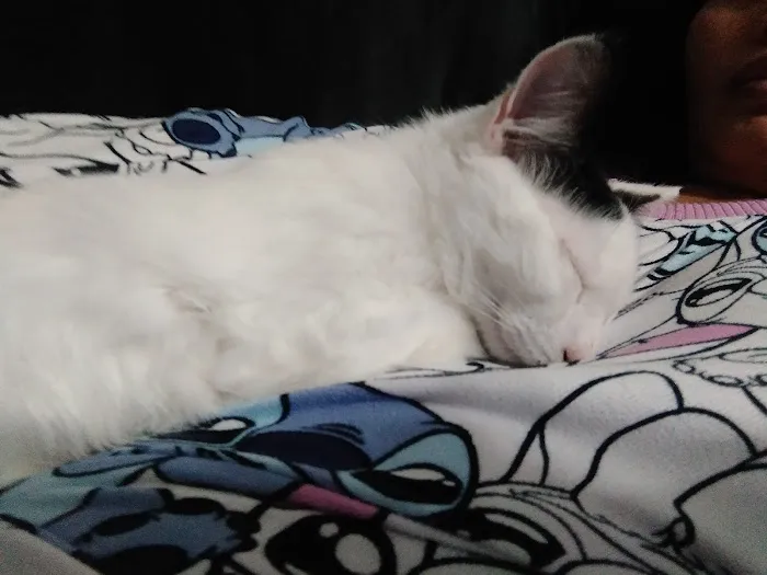 Warsaw Vet Clinic Picture 9