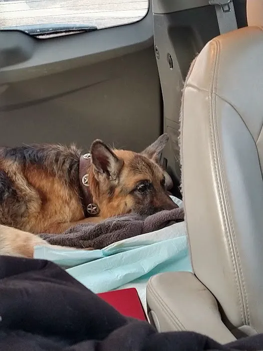 Warsaw Vet Clinic Picture 6