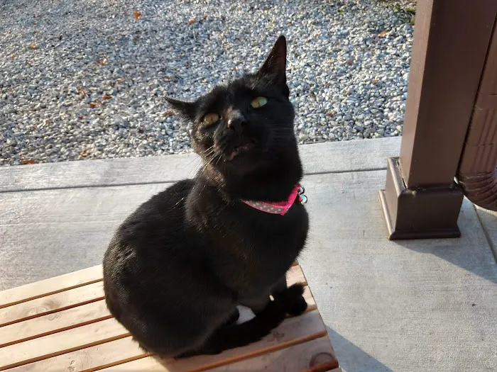 Warsaw Vet Clinic Picture 10