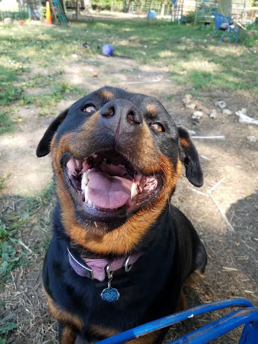 Thompson Hills Animal Clinic Picture 4