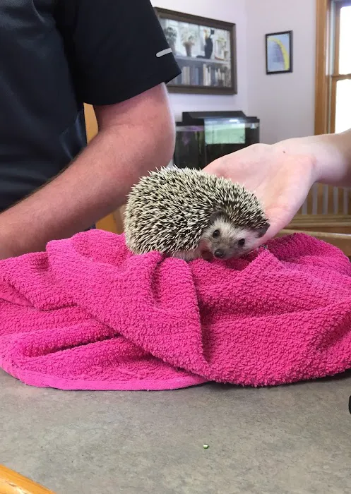 Thompson Hills Animal Clinic Picture 2