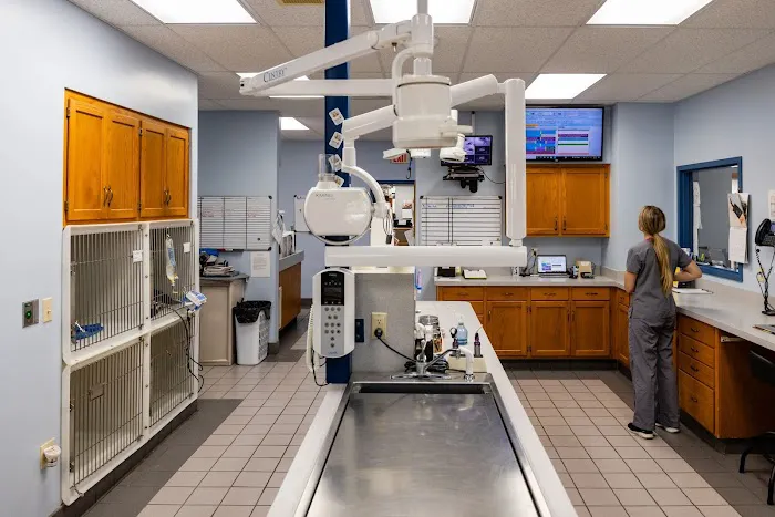 Thompson Hills Animal Clinic Picture 7