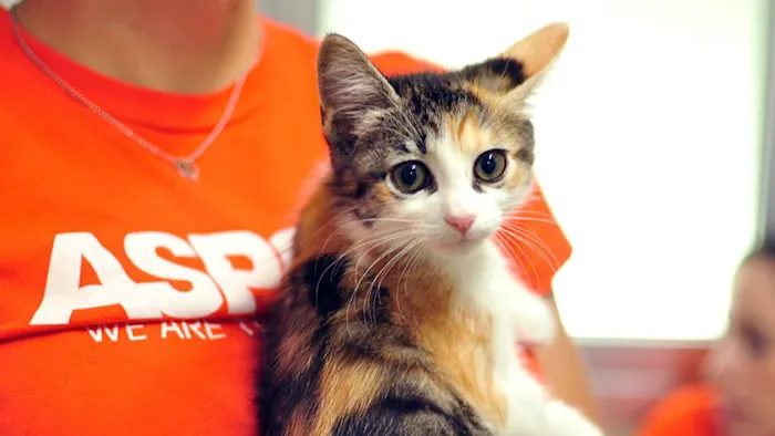 Thompson Hills Animal Clinic Picture 9