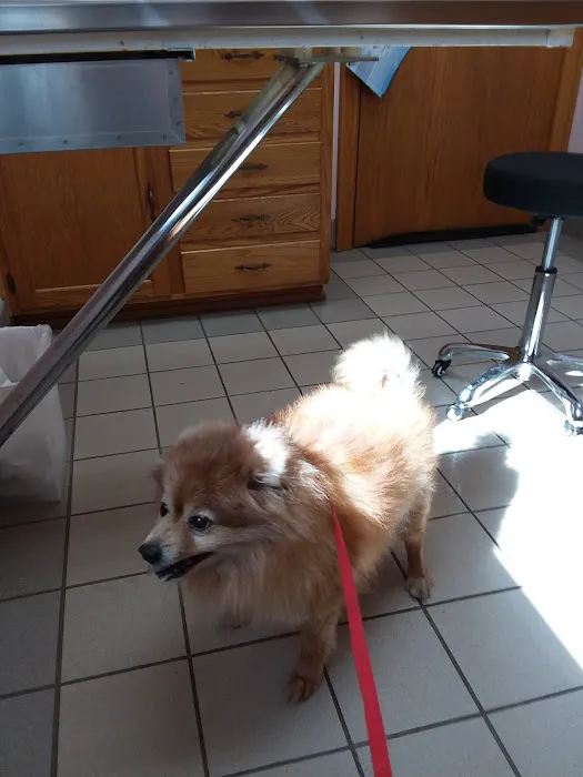 Thompson Hills Animal Clinic: Mcneal Chad DVM Picture 1