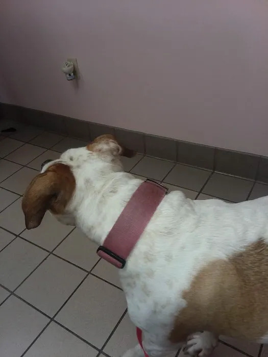 Thompson Hills Animal Clinic: Mcneal Chad DVM Picture 2