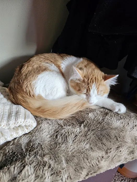 Sedalia Spay & Neuter Clinic Picture 2