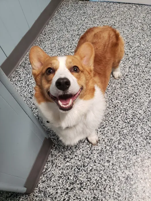 Flat Creek Veterinary Hospital Picture 3