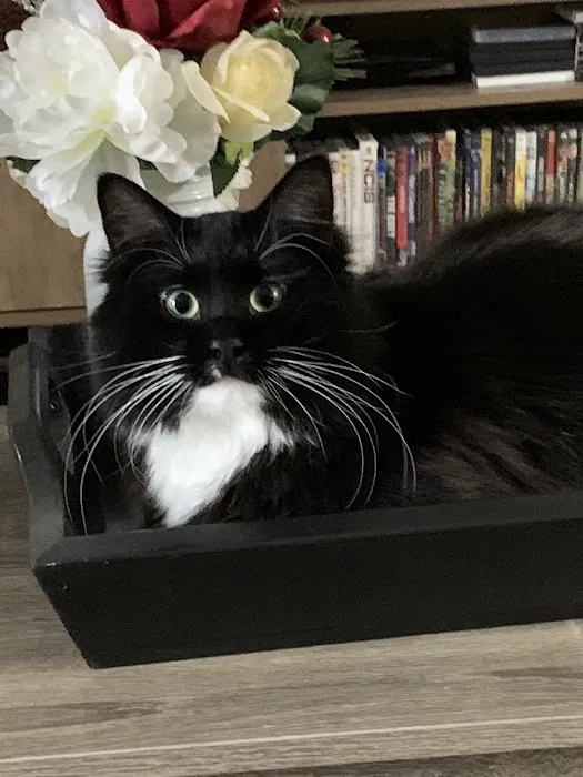 Flat Creek Veterinary Hospital Picture 2