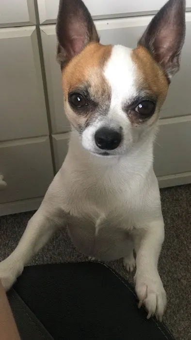 Flat Creek Veterinary Hospital Picture 1