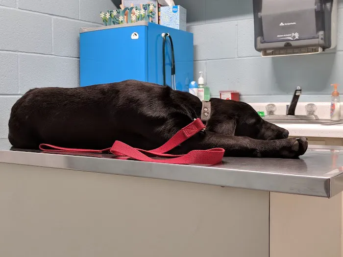 Flat Creek Veterinary Hospital Picture 4