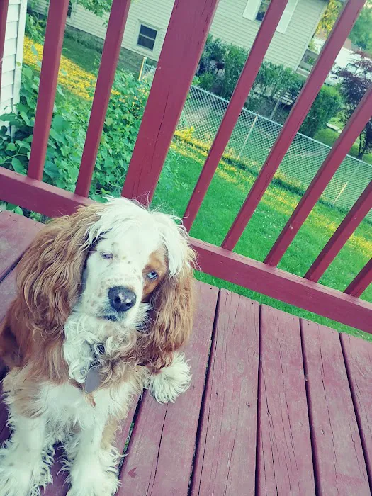 Flat Creek Veterinary Hospital Picture 8