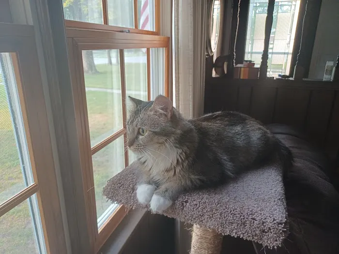 Flat Creek Veterinary Hospital Picture 5