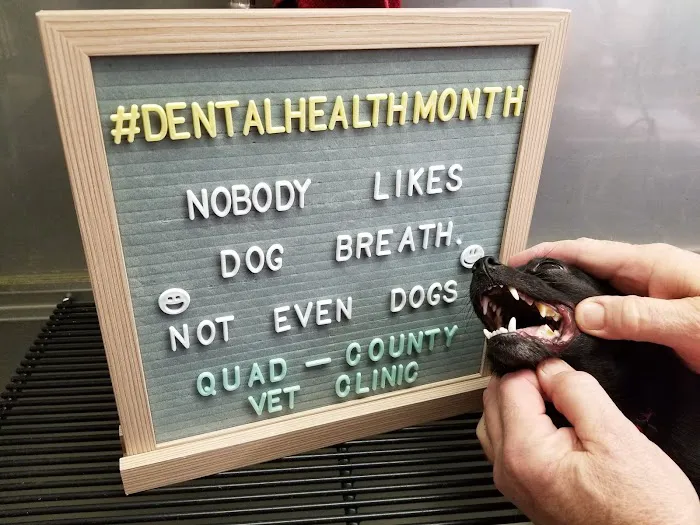 Quad-County Veterinary Clinic Picture 1