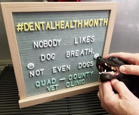 Quad-County Veterinary Clinic