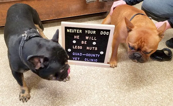 Quad-County Veterinary Clinic Picture 5