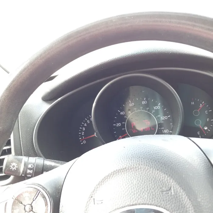 Protect Every Pet (PEP) Picture 3