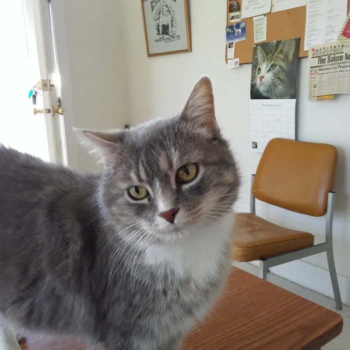 Protect Every Pet (PEP) Picture 4