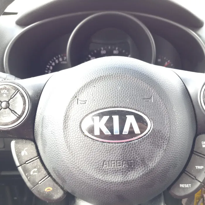 Protect Every Pet (PEP) Picture 7