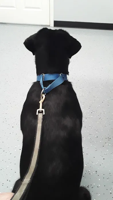 St James Veterinary Medical Center Picture 4