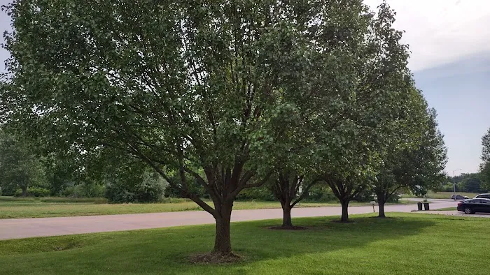 St James Veterinary Medical Center Picture 5