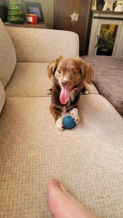 St James Veterinary Medical Center Picture 7