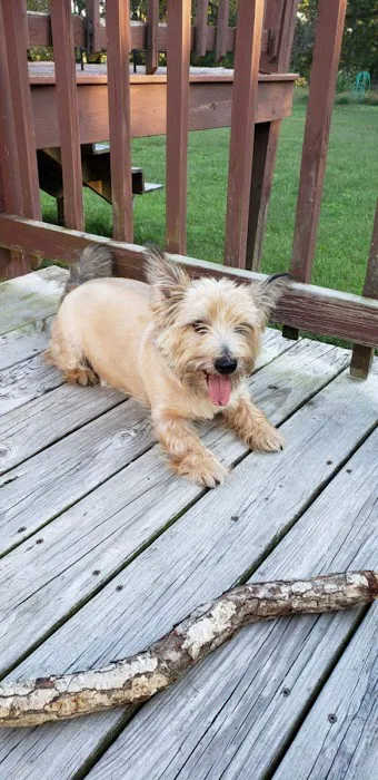 Rolla Animal Hospital Picture 8