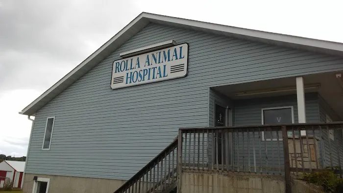 Rolla Animal Hospital Picture 9