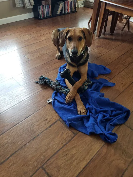 Berger Justin DVM Picture 2