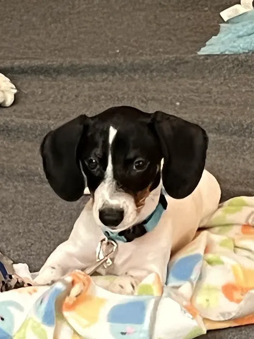 Seward Animal Hospital Picture 5