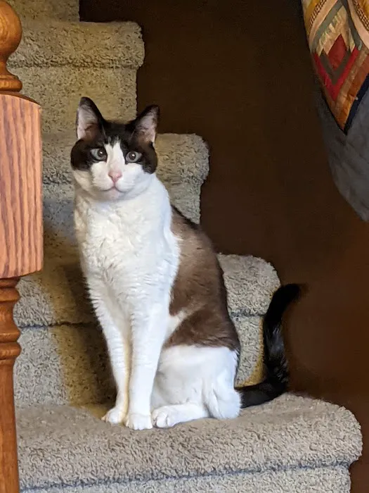 Seward Animal Hospital Picture 1