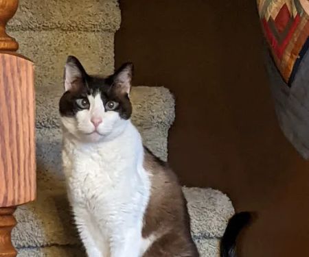 Seward Animal Hospital