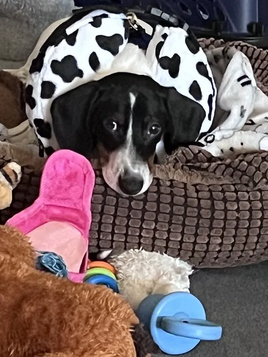 Seward Animal Hospital Picture 3