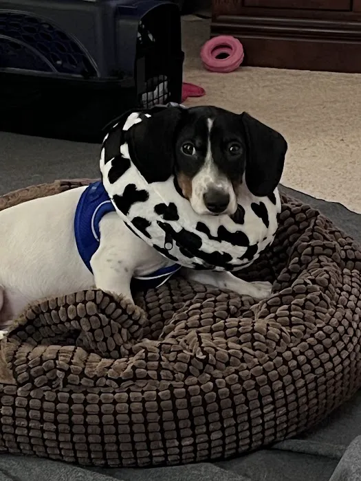 Seward Animal Hospital Picture 2