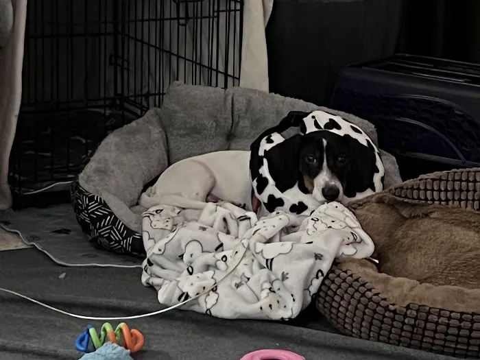 Seward Animal Hospital Picture 4