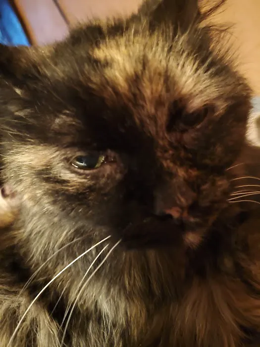 Seward Animal Hospital Picture 8