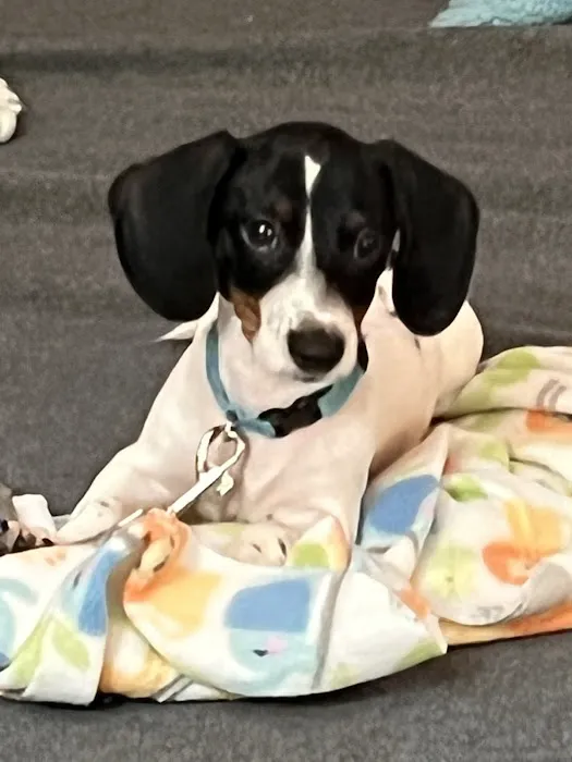 Seward Animal Hospital Picture 7