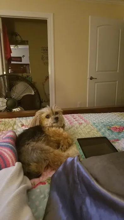 Seward Animal Hospital Picture 9