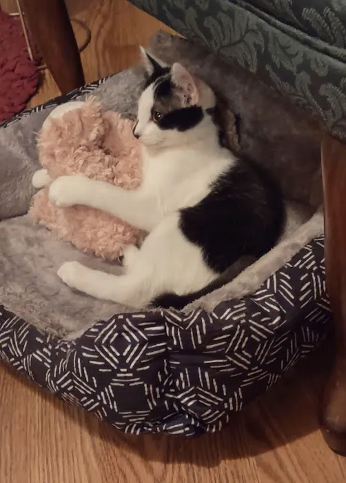 Osceola Veterinary Hospital Picture 1