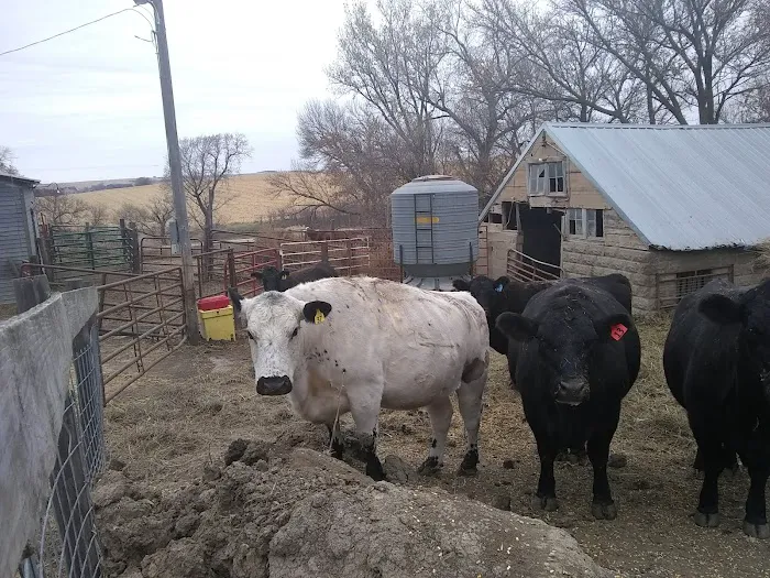 Midland Store Veterinary Clinic - Hwy 15 Location Picture 2