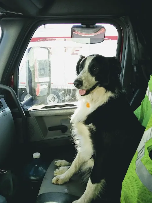 Midland Store Veterinary Clinic - Hwy 15 Location Picture 3