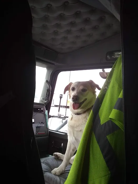 Midland Store Veterinary Clinic - Hwy 15 Location Picture 5