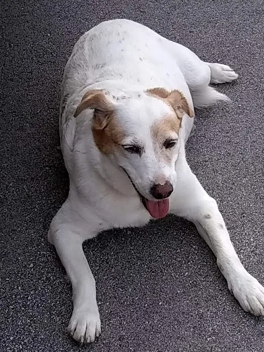 Midland Store Veterinary Clinic - Hwy 15 Location Picture 4