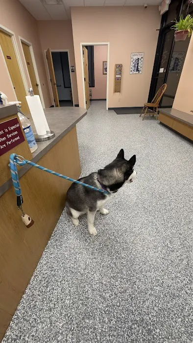 Veterinary Emergency Services Picture 8