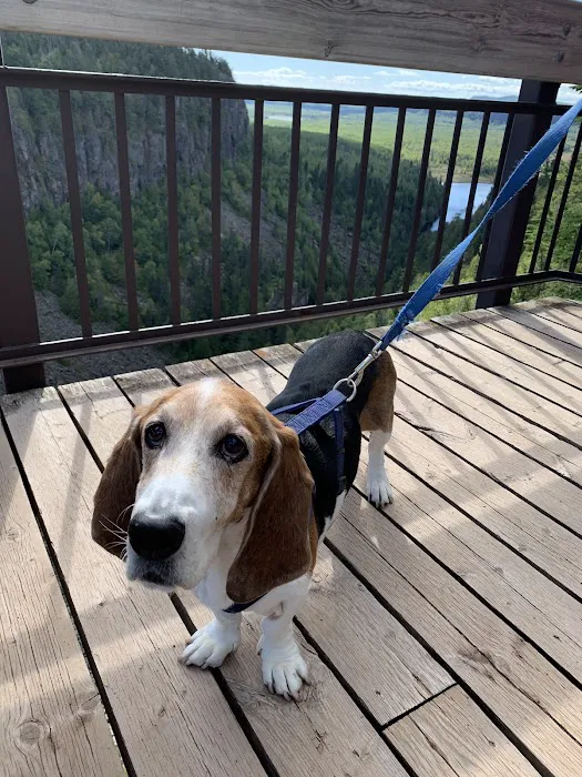 Parkview Animal Hospital Picture 1