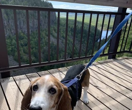 Parkview Animal Hospital