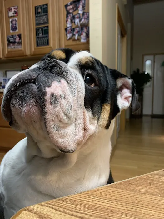 Parkview Animal Hospital Picture 2