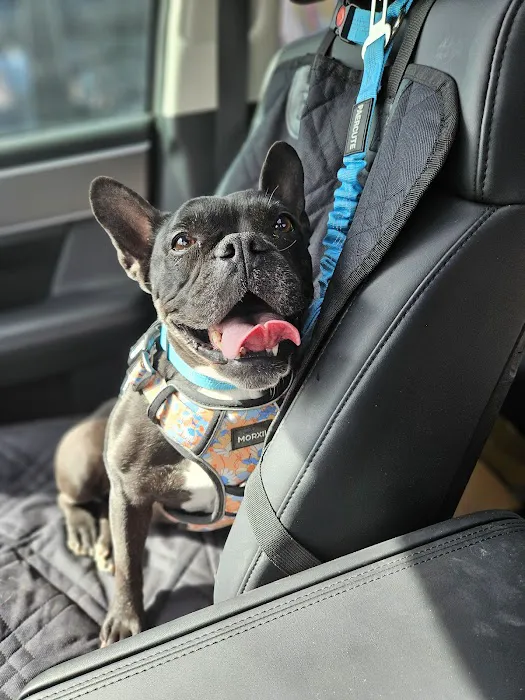 Parkview Animal Hospital Picture 6