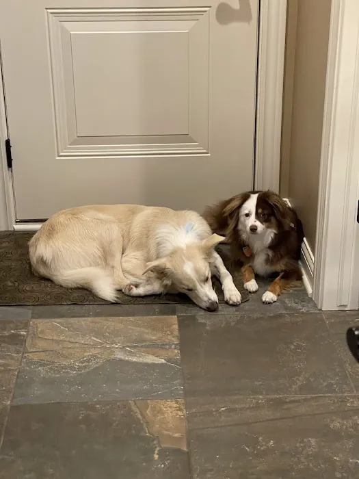 Parkview Animal Hospital Picture 5