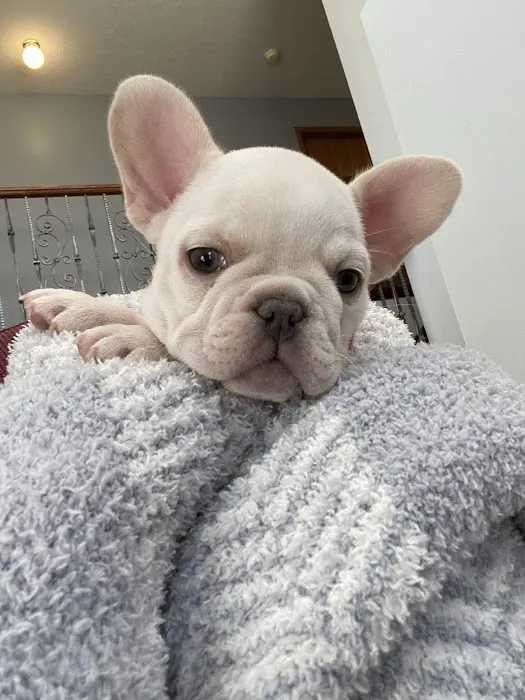 Parkview Animal Hospital Picture 4