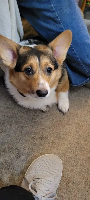 Parkview Animal Hospital Picture 8